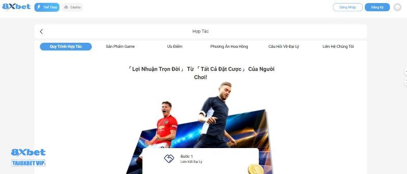 Chương trình đại lý tại 8xbet hỗ trợ hoa hồng cực khủng 