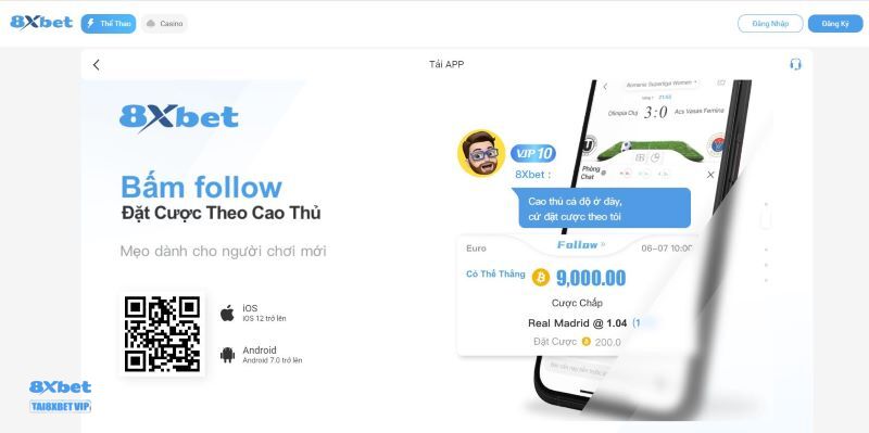 Nền tảng cá cược 8xbet vận hành mượt mà và ổn định 